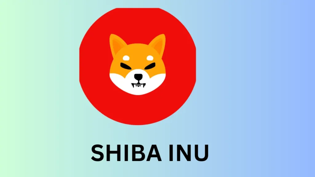 SHIBA INU IMAGE