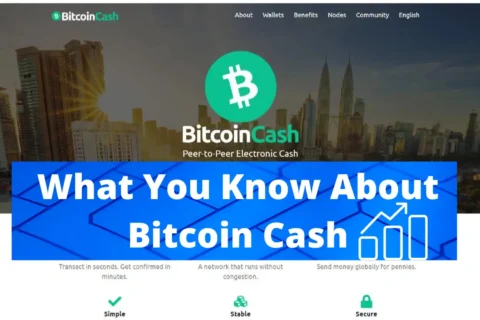 bitcoin cash image