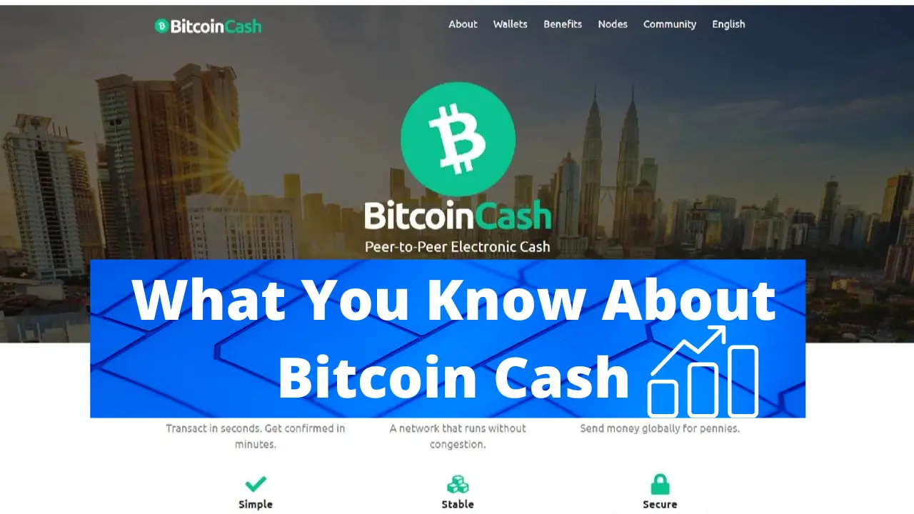 bitcoin cash image